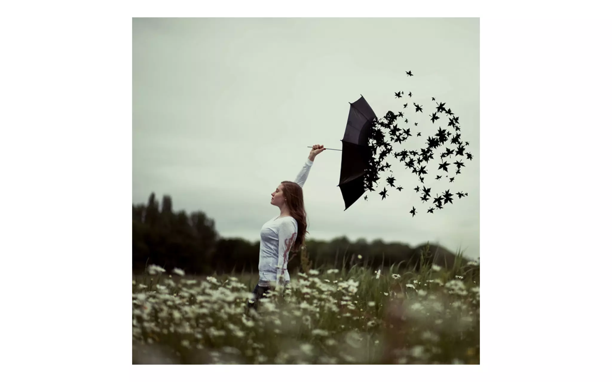 ISP Category Examples