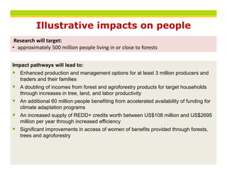 Illustrative impacts on people
 Research will target:
• approximately 500 million people living in or close to forests


Impact pathways will lead to:
   Enhanced production and management options for at least 3 million producers and
   traders and their families
   A doubling of incomes from forest and agroforestry products for target households
   through increases in tree, land, and labor productivity
   An additional 60 million people benefiting from accelerated availability of funding for
   climate adaptation programs
   An increased supply of REDD+ credits worth between US$108 million and US$2695
   million per year through increased efficiency
   Significant improvements in access of women of benefits provided through forests,
   trees and agroforestry
 
