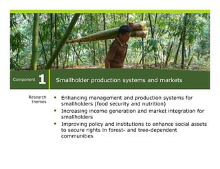 Component
            1    Smallholder production systems and markets

      Research    Enhancing management and production systems for
       themes
                  smallholders (food security and nutrition)
                  Increasing income generation and market integration for
                  smallholders
                  Improving policy and institutions to enhance social assets
                  to secure rights in forest- and tree-dependent
                  communities
 