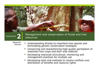 2
                 Management and conservation of forest and tree
                 M         t  d         ti    ff     t   dt
Component
                 resources
      Research
       themes
                  Understanding threats to important tree species and
                  formulating genetic conservation strategies
                  Conserving and characterizing high-quality germplasm of
                  important tree crops and their wild relatives
                  Developing improved silvicultural, monitoring and
                  management practices for multiple use
                  Developing tools and methods to resolve conflicts over
                  distribution of benefits and resource rights
 