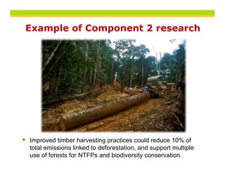 Example of Component 2 research
    p         p




Improved timber harvesting practices could reduce 10% of
total emissions linked to deforestation, and support multiple
use of forests for NTFPs and biodiversity conservation.
 
