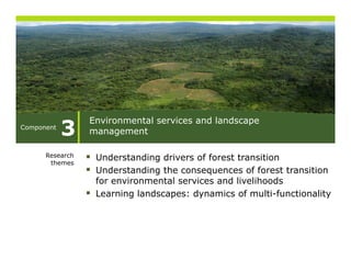 3
                 Environmental services and l d
                 E i       t l     i      d landscape
Component
                 management

      Research    Understanding drivers of forest transition
       themes
                  Understanding the consequences of forest transition
                  for environmental services and livelihoods
                  Learning landscapes: dynamics of multi-functionality
 
