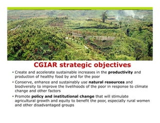 CGIAR strategic objectives
Create and accelerate sustainable increases in the productivity and
production of healthy food by and for the poor
Conserve, enhance and sustainably use natural resources and
biodiversity to improve the livelihoods of the poor in response to climate
change and other factors
Promote policy and institutional change that will stimulate
agricultural growth and equity to benefit the poor especially rural women
                                              poor,
and other disadvantaged groups
 