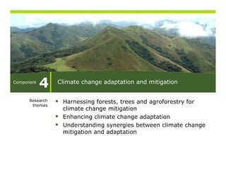 Component
            4    Climate change adaptation and mitigation


      Research    Harnessing forests, trees and agroforestry for
       themes
                  climate change mitigation
                  Enhancing climate change adaptation
                  Understanding synergies between climate change
                  mitigation and adaptation
 