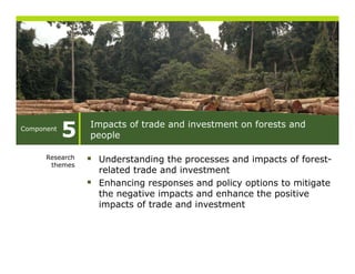 Component
            5    Impacts of trade and investment on forests and
                 people

      Research    Understanding the processes and impacts of forest-
       themes
                  related trade and investment
                  Enhancing responses and policy options to mitigate
                  the negative impacts and enhance the positive
                  impacts of trade and investment
 