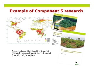 Example of Component 5 research




Research on the implications of
        h    h      l         f
biofuel expansion on forests and
forest communities
 