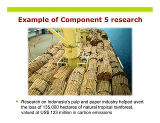 Example of Component 5 research
    p         p




Research on Indonesia’s pulp and paper industry helped avert
R        h    I d    i ’    l    d         i d t h l d       t
the loss of 135,000 hectares of natural tropical rainforest,
valued at US$ 133 million in carbon emissions
 