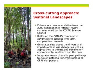 Cross-cutting approach:
Sentinel Landscapes

 Follows key recommendation from the
 2009 social science “stripe” review
 commissioned by the CGIAR Science
                 y
 Council
 Builds on the CGIAR’s comparative
 advantage to conduct long-term,
 comparative research
          ti           h
 Generates data about the drivers and
 impacts of land use change, as well as
 approaches to threats and benefits for
 environmental resilience and the poor
 Integrates research and impact pathways
 to exploit potential synergies across all
 CRP6 components
 