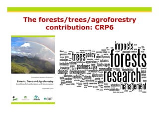 The forests/trees/agroforestry
           /     / g         y
      contribution: CRP6
 