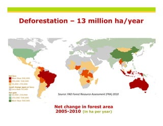 Deforestation – 13 million ha/year
                             /y




          Source: FAO Forest Resource Assessment (FRA) 2010



         Net change in forest area
         2005-2010 (in ha per year)
 