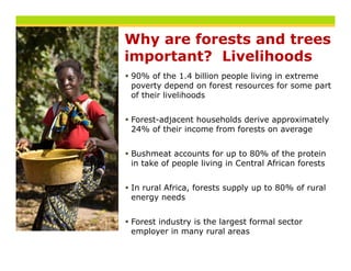Why are forests and trees
important? Livelihoods
90% of the 1.4 billion people living in extreme
poverty depend on forest resources for some part
of their livelihoods


Forest-adjacent
Forest adjacent households derive approximately
24% of their income from forests on average


Bushmeat accounts for up to 80% of the protein
in take of people living in Central African forests


In rural Africa, forests supply up to 80% of rural
         Africa
energy needs


Forest industry is the largest formal sector
employer in many rural areas
 