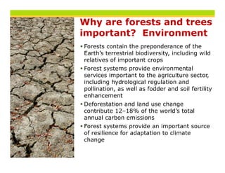 Why are forests and trees
important? Environment
Forests contain the preponderance of the
Earth s
Earth’s terrestrial biodiversity, including wild
                    biodiversity
relatives of important crops
Forest systems provide environmental
services important to the agriculture sector
                                       sector,
including hydrological regulation and
pollination, as well as fodder and soil fertility
enhancement
Deforestation and land use change
contribute 12–18% of the world’s total
annual carbon emissions
Forest systems provide an important source
of resilience for adaptation to climate
change
 