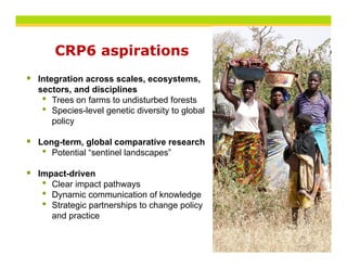 CRP6 aspirations
Integration across scales, ecosystems,
    g                             y
sectors, and disciplines
 • Trees on farms to undisturbed forests
 • Species-level genetic diversity to global
    policy

Long-term, global comparative research
 • Potential “sentinel landscapes”
Impact-driven
 • Clear impact pathways
 • Dynamic communication of knowledge
 • Strategic partnerships to change policy
   and practice
 