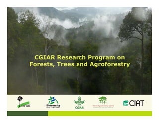 CGIAR Research Program on
Forests, Trees and Agroforestry
 