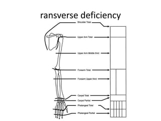 ransverse deficiency
 