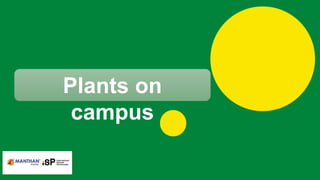 International Schools Partnership - Public Document
Plants on
campus
 