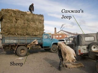 Санжаа ’s Jeep Sheep 