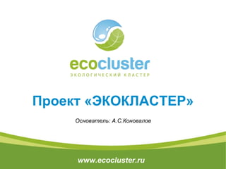 Проект «ЭКОКЛАСТЕР» Основатель: А.С.Коновалов www.ecocluster.ru 