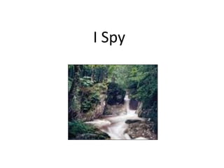 I Spy
 