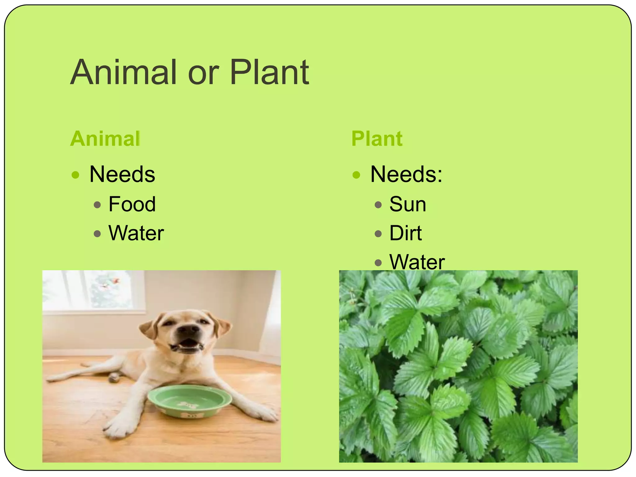 i-spy-ppt