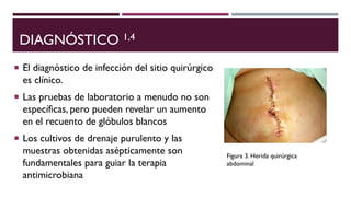 DIAGNÓSTICO 1,4
 El diagnóstico de infección del sitio quirúrgico
es clínico.
 Las pruebas de laboratorio a menudo no son
específicas, pero pueden revelar un aumento
en el recuento de glóbulos blancos
 Los cultivos de drenaje purulento y las
muestras obtenidas asépticamente son
fundamentales para guiar la terapia
antimicrobiana
Figura 3. Herida quirúrgica
abdominal
 