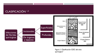 CLASIFICACIÓN 1,3
Infecciones
de Heridas
quirúrgicas
Incisionales
Superficiales
Profundas
De órganos
y espacios
Figura 1. Clasificación CDC del sitio
quirúrgico7
 