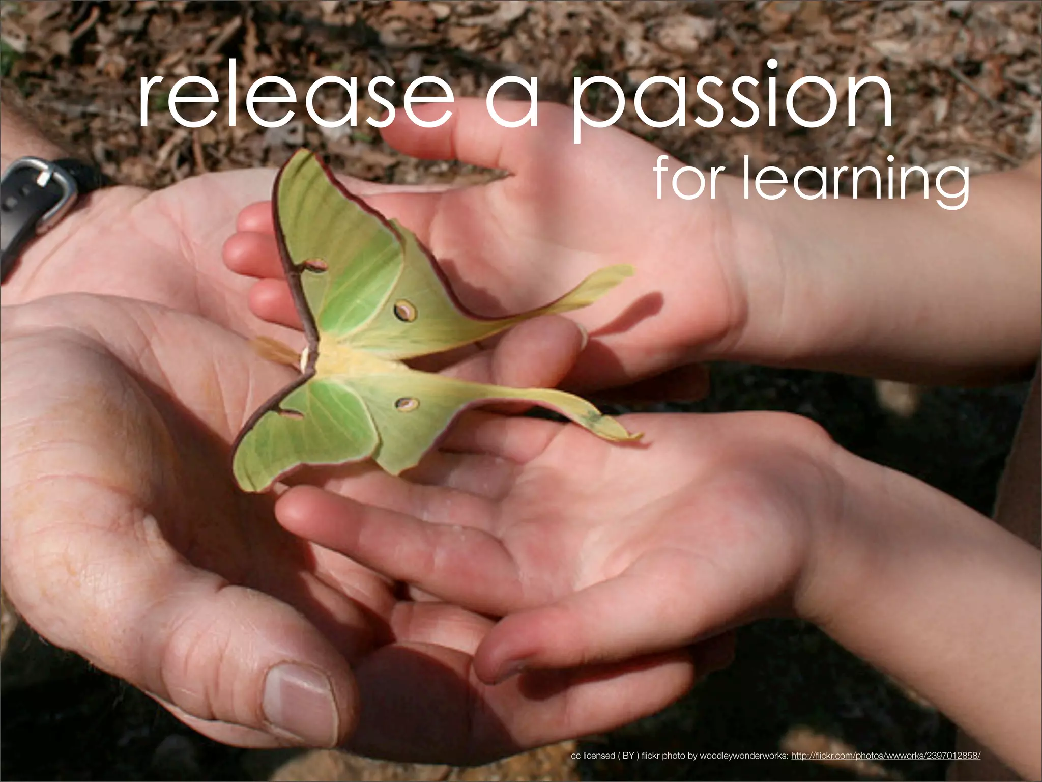 cc licensed ﬂickr photo by Stéfan: http://ﬂickr.com/photos/st3f4n/3951143570/




                                                                                cc licensed ( BY ) ﬂickr photo by woodleywonderworks: http://ﬂickr.com/photos/wwworks/2397012858/
 