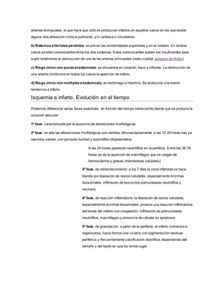 arterias bronquiales, lo que hace que sólo se produzcan infartos en aquellos casos en los que existe
alguna otra alteración crónica pulmonar, y/o cardiaca o circulatoria.
b) Sistemasarterialesparalelos: ocurre en las extremidades superiores y en el cerebro. En ambos
casos existen comunicantes entre los dos sistemas. Estos comunicantes suelen ser insuficientes para
suplir totalmente la obstrucción de una de las arterias principales (radio-cubital, polígono de Willis).
c) Riego único con pocasanastomosis: se encuentra en corazón, bazo y riñones. La obstrucción de
una arteria condiciona en todos los casos la aparición de infarto.
d) Riego único con múltiplesanastomosis: en estómago e intestino. Se produciría una menor
tendencia a infarto.
Isquemia e infarto. Evolución en el tiempo
Podemos diferenciar varias fases evolutivas, en función del tiempo transcurrido desde que se produce la
oclusión vascular:
1ª fase: caracterizada por la ausencia de alteraciones morfológicas.
2ª fase: en ella las alteraciones morfológicas son visibles. Microscópicamente, a las 12-24 horas hay ya
necrosis celular, con picnosis nuclear y eosinofilia citoplasmática.
A las 24 horas aparecen neutrófilos en la periferia. Entre las 36-78
horas se da la aparición de macrófagos que se cargan de
hemosiderina y grasas (membranas celulares).
3ª fase, de reblandecimiento: a los 7 días la zona infartada se hace
blanda por liberación de restos celulares, especialmente enzimas
lisosomales, infiltración de leucocitos polinucleares neutrófilos y
necrosis.
4ª fase, de reacción inflamatoria: la liberación de restos celulares,
especialmente enzimas lisosomales, provoca una reacción inflamatoria
del borde del infarto con congestión, infiltración de polinucleares
neutrófilos, macrófagos y presencia de células en apoptosis.
5ª fase, de granulación: a partir de la periferia, el infarto comienza a
organizarse, hasta formar una cicatriz con pigmentación residual
periférica y frecuentemente calcificación distrófica, dependiendo del
tamaño y del tejido en que ha tenido lugar.
 
