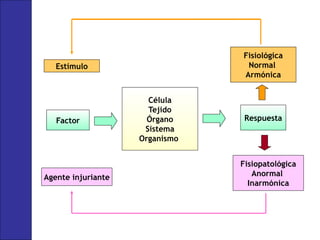 Célula
Tejido
Órgano
Sistema
Organismo
Factor Respuesta
Fisiológica
Normal
Armónica
Fisiopatológica
Anormal
Inarmónica
Estímulo
Agente injuriante
 