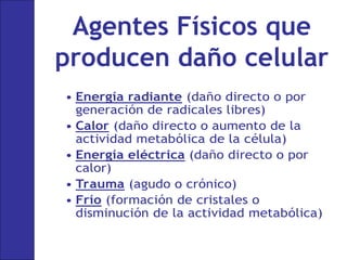 • Energía radiante (daño directo o por
generación de radicales libres)
• Calor (daño directo o aumento de la
actividad metabólica de la célula)
• Energía eléctrica (daño directo o por
calor)
• Trauma (agudo o crónico)
• Frío (formación de cristales o
disminución de la actividad metabólica)
Agentes Físicos que
producen daño celular
 