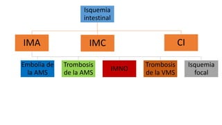 Isquemia
intestinal

IMA
Embolia de
la AMS

CI

IMC
Trombosis
de la AMS

IMNO

Trombosis
de la VMS

Isquemia
focal

 
