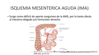 ISQUEMIA MESENTERICA AGUDA (IMA)
• Surge como déficit de aporte sanguíneo de la AMS, por lo tanto afecta
al intestino delgado y/o hemicolon derecho

Moya Calvo M., Acosta Gacho G., et. Al.,Patologia del mesenterio, isquemia intestinal, Medicine,
2008;10(4), pp 231-241

 