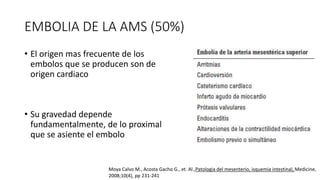 EMBOLIA DE LA AMS (50%)
• El origen mas frecuente de los
embolos que se producen son de
origen cardiaco

• Su gravedad depende
fundamentalmente, de lo proximal
que se asiente el embolo

Moya Calvo M., Acosta Gacho G., et. Al.,Patologia del mesenterio, isquemia intestinal, Medicine,
2008;10(4), pp 231-241

 