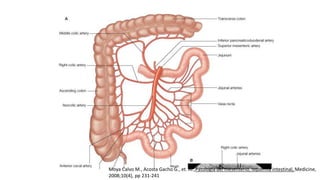 Moya Calvo M., Acosta Gacho G., et. Al.,Patologia del mesenterio, isquemia intestinal, Medicine,
2008;10(4), pp 231-241

 