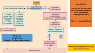 Vasodilatador:
1mg/ml con una velocidad
de infusión de 30-60mg/hr
Hasta obtener una
arteriografía normal

12-24 hrs después de la Qx

Urocinasa
Estreptocinasa
Activador del plasminogeno tisular

Anticoagulacion por 6 meses para
prevenir recurrencias

 