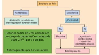 Heparina sódica de 5 mil unidades en
bolo, seguida de perfusión continua de
1000 U/h32 por 7 a 10 días.

Anticoagulantes por 6 meses orales

 