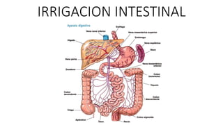 IRRIGACION INTESTINAL

 