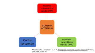Isquemia
mesentérica
aguda (IMA)

ISQUEMIA
INTESTINAL

Colitis
Isquemica

Isquemia
mesentérica
crónica (IMC)

Moya Calvo M., Acosta Gacho G., et. Al.,Patologia del mesenterio, isquemia intestinal, Medicine,
2008;10(4), pp 231-241

 