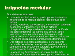 Irrigación medular
Dos sistemas arteriales:
 La arteria espinal anterior, que irriga los dos tercios
anteriores de la médula espinal. Recibe flujo de la
arteria
basilar, vertebral, costocervical, intercostales, torácicas
superiores e inferiores y de ambas arterias
hipogástricas. Responsable de la vascularización de
las astas anteriores, sustancia gris central, astas
laterales, cordones anteriores y laterales y parte
central de los cordones posteriores. Menor calibre en
D8. Adamkievicz a nivel dorsolumbar. (terminales)
 Dos arterias espinales posteriores, generalmente
ramas de las arterias cerebelosas posteroinferiores
con abundante circulación colateral, que dan flujo al
tercio posterior de la misma. (plexo)
 La arteria de Adamkiewicz, arteria radicular más
importante, frecuentemente se origina como rama de

 