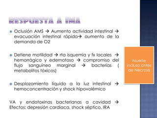 





Oclusión AMS  Aumento actividad intestinal 
evacuación intestinal rápida aumento de la
demanda de O2
Detiene motilidad  rta isquemia y fx locales 
hemorrágico y edemotoso  compromiso del
flujo sanguíneo marginal  bacterias (
metabolitos tóxicos)
Desplazamiento líquido a la luz intestinal 
hemoconcentración y shock hipovolémico

VA y endotoxinas bacterianas a cavidad 
Efectos: depresión cardiaca, shock séptico, IRA

Muerte
incluso antes
de Necrosis

 