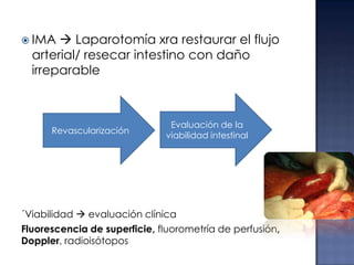  IMA

 Laparotomía xra restaurar el flujo
arterial/ resecar intestino con daño
irreparable

Revascularización

Evaluación de la
viabilidad intestinal

´Viabilidad  evaluación clínica
Fluorescencia de superficie, fluorometría de perfusión,
Doppler, radioisótopos

 