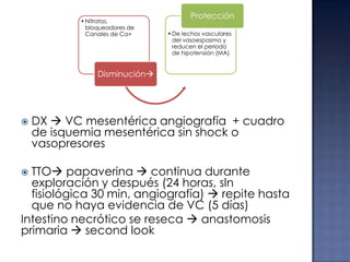 • Nitratos,
bloqueadores de
Canales de Ca+

Protección
• De lechos vasculares
del vasoespasmo y
reducen el periodo
de hipotensión (MA)

Disminución



DX  VC mesentérica angiografía + cuadro
de isquemia mesentérica sin shock o
vasopresores

TTO papaverina  continua durante
exploración y después (24 horas, sln
fisiológica 30 min, angiografía)  repite hasta
que no haya evidencia de VC (5 días)
Intestino necrótico se reseca  anastomosis
primaria  second look


 