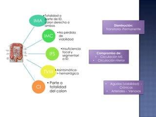 •Totalidad o
IMA parte de ID, o
colon derecho
ambos
•No pérdida
de
viabilidad

IMC

IFS

TVM
CI

•Insuficiencia
focal y
segmentari
a ID

Disminución:
Transitoria -Permanente

Compromiso de:
• Cisculación MS
• Circulación nferior

•Asintomática> hemorrágica

• Parte o
totalidad
del colon

•

Agudas (viabilidad) Crónicas
• Arteriales - Venosas

 