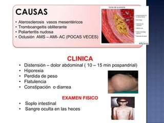 CAUSAS
•
•
•
•

Aterosclerosis vasos mesentéricos
Tromboangeitis obliterante
Poliarteritis nudosa
Oclusión AMS – AMI- AC (POCAS VECES)

CLINICA
•
•
•
•
•

Distensión – dolor abdominal ( 10 – 15 min pospandrial)
Hiporexia
Perdida de peso
Flatulencia
Constipación o diarrea
EXAMEN FISICO

• Soplo intestinal
• Sangre oculta en las heces

 