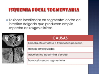 

Lesiones localizadas en segmentos cortos del
intestino delgado que producen amplio
espectro de rasgos clínicos.

CAUSAS
Embolia ateromatosa o trombotica pequeña
Hernias estranguladas
Traumatismo abdominal cerrado
Trombosis venosa segmentaria

 