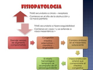 TVMS secundaria a cirrosis – neoplasia

Comienza en el sitio de la obstrucción y
va hacia periferia
TVMS secundaria a hipercoagulabilidad
Comienza en vasos < y se extiende a
vasos mesentéricos >

Congestión
Drenaje venoso
de segmento
comprometido

Intestino
edematoso –
cianótico engrosado

Cambios similares
en el mesenterio
subyacente

El infarto
hemorrágico
temprano se
acompaña de LP
serosanguinolento

Vasoconstricción
arterial que
compromete el
intestino
congestivo

 