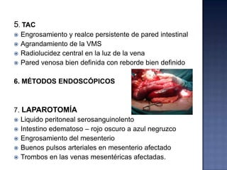 5. TAC






Engrosamiento y realce persistente de pared intestinal
Agrandamiento de la VMS
Radiolucidez central en la luz de la vena
Pared venosa bien definida con reborde bien definido

6. MÉTODOS ENDOSCÓPICOS

7. LAPAROTOMÍA
 Liquido peritoneal serosanguinolento
 Intestino edematoso – rojo oscuro a azul negruzco
 Engrosamiento del mesenterio
 Buenos pulsos arteriales en mesenterio afectado
 Trombos en las venas mesentéricas afectadas.

 