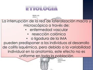 La interrupción de la red de lateralización macro y
microscópica a través de:
• enfermedad vascular
• resección colónica
• o ligadura de la IMA
pueden predisponer a los individuos al desarrollo
de colitis isquémica, pero debido a la variabilidad
individual en la anatomía, este efecto no es
uniforme en toda la población.

 