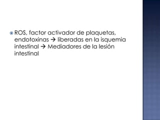  ROS,

factor activador de plaquetas,
endotoxinas  liberadas en la isquemia
intestinal  Mediadores de la lesión
intestinal

 
