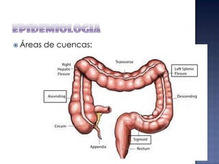  Áreas

de cuencas:

 